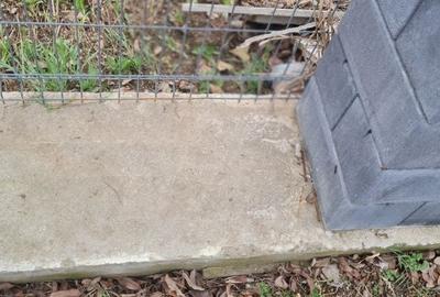 Spațiu comercial, în Vernești - 3