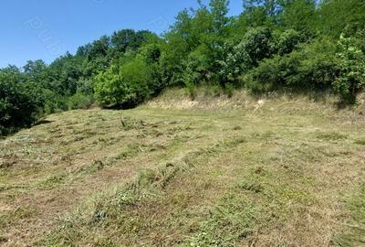 Teren de 1500 mp, în Marginea - 2