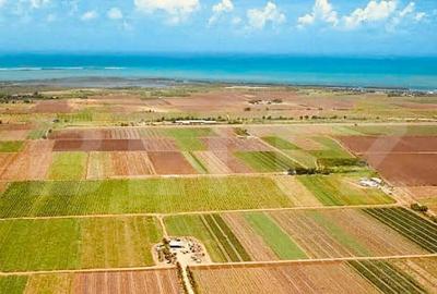 Teren de 22100 mp, în Central