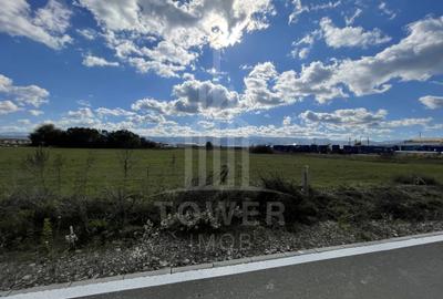 Teren Construcții intravilan de 6000 mp, în Cristian - 3