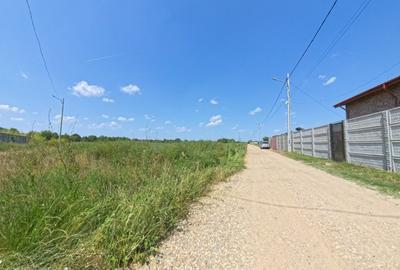 Teren intravilan de 13659 mp, în Răcari - 1