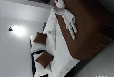 Apartament cu 2 camere decomandat în Sinaia - 2