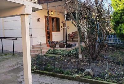 Casă cu 5 camere cu Teren 553 Mp în Bălcescu - 18