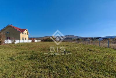 Teren 800 mp - Unirea - 4