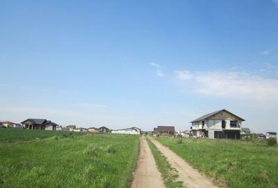 Domnesti-Simfoniei. - 5