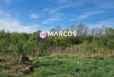 Teren Construcții extravilan de 2360 mp, în Calea Caransebeșului - 4