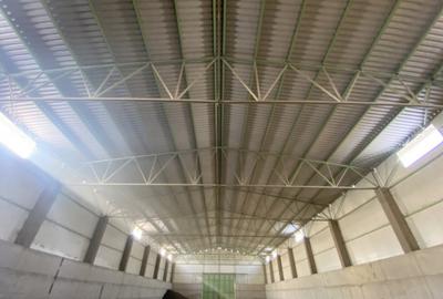 Proprietate agroindustriala, hala 1590 mp, teren 28000 mp, p - 19