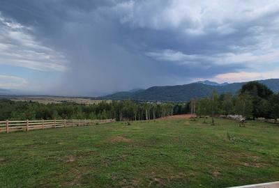 Spațiu comercial, în Glăjărie - 3