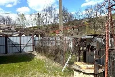 Casă cu Teren 3384 Mp în Bârsănești - 5