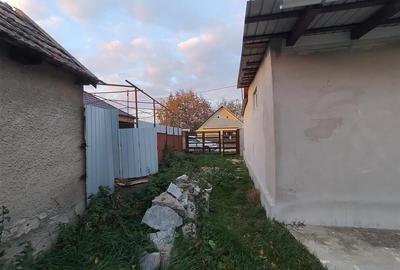 RECO Casa de vanzare in Hodos - 8