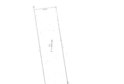 Buftea-deschidere la lacul Buftea - 3