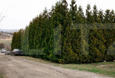 Teren în Borhanci - 7