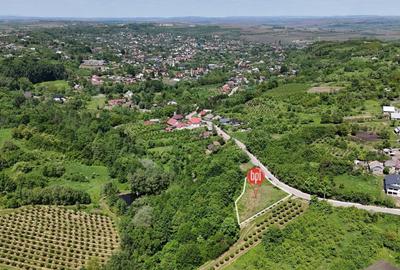 Teren Construcții intravilan de 20000 mp, în Rădășeni - 8