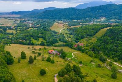 Teren Parcul National Bucegi/Str Glajarie Rau Mare/Panicel/Sohodol - 6