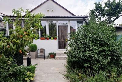 Casa cu suflet in centrul Medgidiei- gradina superba - 34