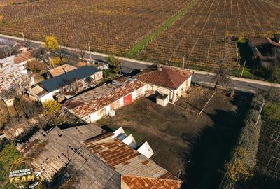 FILM! Casa boieresca autentica,domeniu de 4.000 mp intravilan,in podgoriile Odob - 11