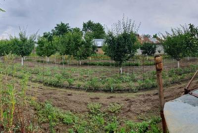 Casă cu 4 camere în Mihăilești - 4