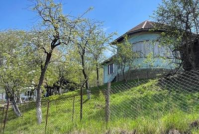 Casă cu 3 camere cu Teren 500 Mp în Ilva Mică - 3