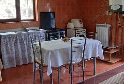 Casă cu 5 camere cu Teren 700 Mp în Miroslava - 3