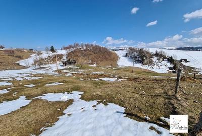 Teren De Vanzare In Sirnea - 34