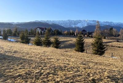 Teren Construcții intravilan de 3400 mp, în Șirnea - 1