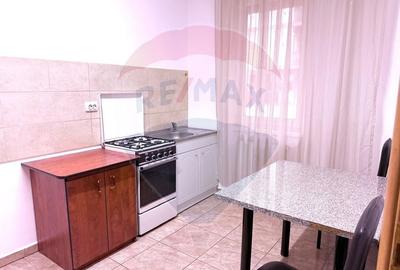 Apartament cu o camera de inchiriat - Cartier Prima Nufarul - 4