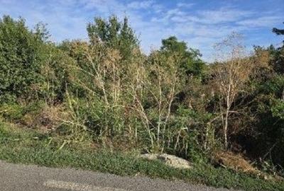 Teren de 353 mp, în Ștefăneștii de Jos - 6