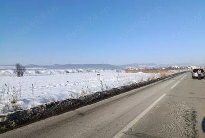 Teren de 4000 mp, în Florești - 5