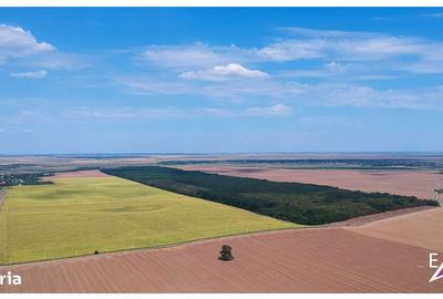 Spațiu comercial, în Frumușani - 6