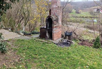 Casă cu 1 camere cu Teren 1100 Mp în Viișoara - 1