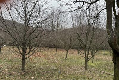 Casă cu 4 camere în Bucșani - 4