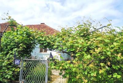 Casă cu 4 camere cu Teren 1300 Mp în Baia de Fier - 2