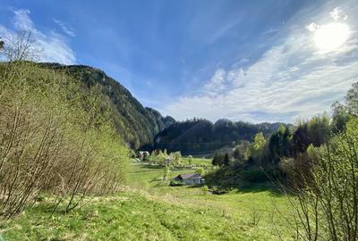 Teren panoramic insorit, utilitati, panta mica si padure, turism sau vacanta - 8