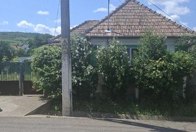 Casă cu 2 camere cu Teren 1133 Mp în Central