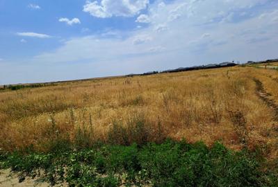 Teren de 415 mp, în Cârcea