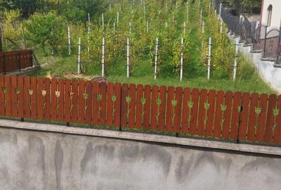 Casă individuală cu 5 camere cu Teren 1550 Mp în Platou - 9