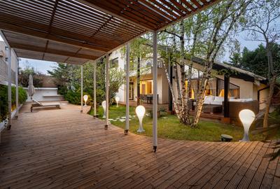 IANCU NICOLAE - COMPLEX TRAIAN, VILA 350 MP, LOT 750 MP - 3