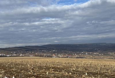 Teren de 990 mp, în Central