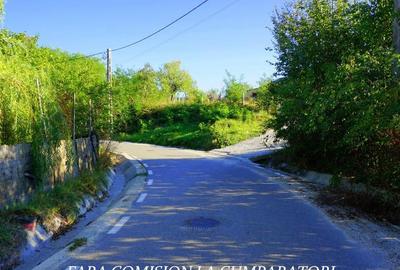 BUDESTI, TEREN 1000 MP, PRIVELISTE MINUNATA - 20