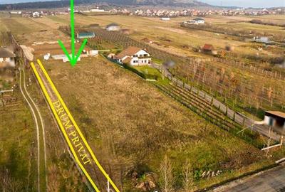 Teren Construcții intravilan de 560 mp, în Betfia - 6
