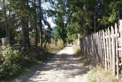 Teren în Ortoaia - 4