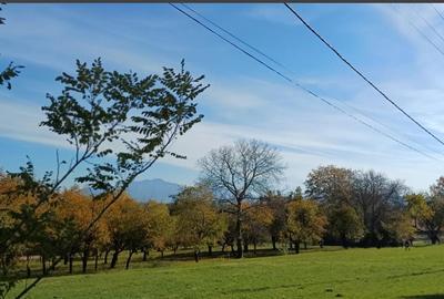 Teren intravilan zona Bran,Tohanita - 12