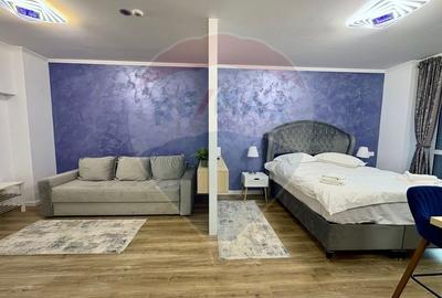 Studio luminos,55 mp, 2022 + parcare, Sinaia, introdus regim hotelier - 3