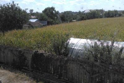 Spațiu de producție 928 mp, BUZAU, SAGEATA - 9