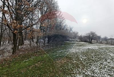 Teren Construcții intravilan de 5700 mp, în Exterior Sud - 1