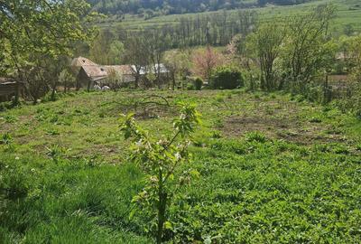 Casă cu 4 camere în Dumbrăvița - 8