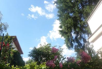 Casă cu 4 camere cu Canalizare în Domenii - 26