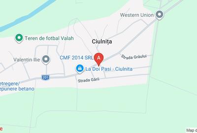 Casă individuală cu 5 camere cu Teren 1400 Mp în Ciulnița - 3