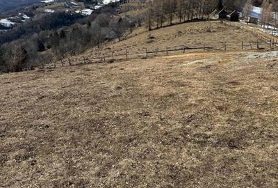 Spațiu comercial, în Poiana Vadului - 8