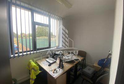 Casa în Dumbrăvița cu teren de 3039 mp și Front Stradal de 40 ml - 6